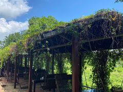 -侯臣咖啡文化村