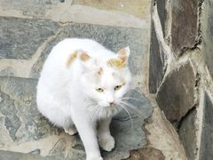 -北京水岸山吧度假村(雁栖镇店)