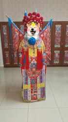 -梨园天地京剧摄影(玲珑天地店)