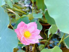 -田园印象·成都土菜院子(华阳店)