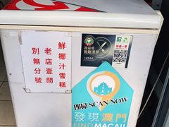 -洪馨椰子