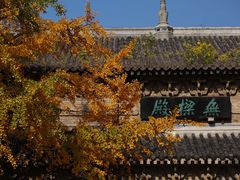 -灵谷景区
