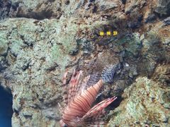 -福州罗源湾海洋世界旅游区