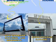 -金鸡湖景区