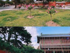 -故宫博物院(故宫)