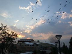 -素心小筑(后沙裕镇店)