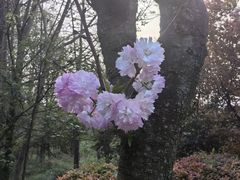 -贵阳市花溪国家城市湿地公园