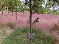 -嘉北郊野公园