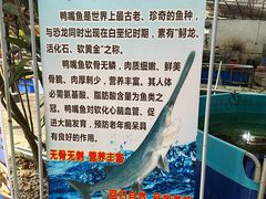 -水磨农庄