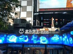 门面-盒马鲜生(杭州运河上街店)