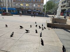 -耶拉契奇总督广场