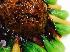 猴头菇-泰丰楼(前门西大街店)