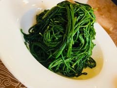 -蒙古大营·蒙古演绎餐厅(赛马场店)