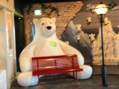 -济州岛泰迪熊博物馆