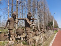 -上海长兴岛郊野公园