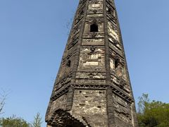 -上海佘山国家森林公园天马山园