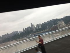 -菜园坝水果市场