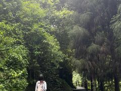 -西岭雪山大飞水景区