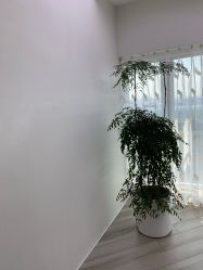 -HEYAN荷妍专业脱毛连锁机构
