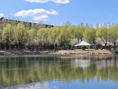 -吉林大学(前卫南区)