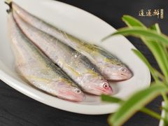 刀鱼-道道鲜·崇明私房菜(五角场店)