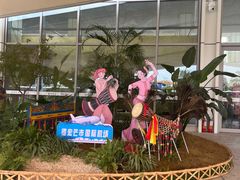 -德宏芒市国际机场