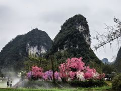 -靖西鹅泉风景区