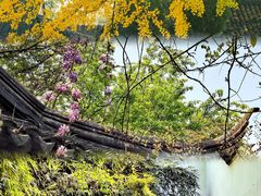 -西园戒幢律寺