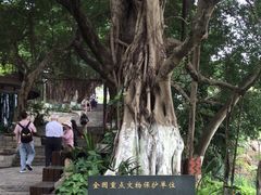 -胡里山炮台