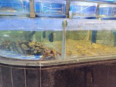 -六婶西关小厨(光塔路店)