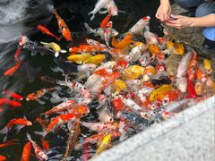 -西林禅寺