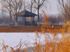 -大兴滨河森林公园
