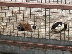 -深圳野生动物园