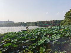 -湖畔居茶楼(湖滨店)