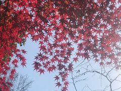 -深业半汤御泉庄温泉
