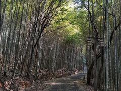 -苏州环秀晓筑养生度假村