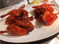 红烧乳鸽-陶陶居·雅园(凯华国际店)