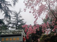 -昆明动物园