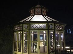 -大塘金香草谷