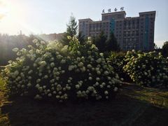 iphone_upload_pic-吉林大学(前卫南区)