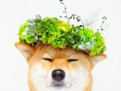 -川里谈·川味小馆(北京路店)