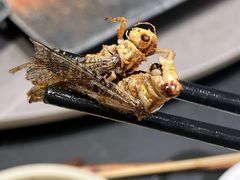 -牧雲子·臻选云南菜 .商务宴请(泰然大厦店)