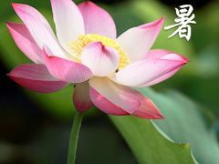 -新享乐海鲜(翠华路店)