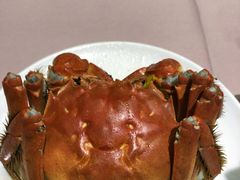 清蒸大闸蟹-王宝和酒家(黄浦店)