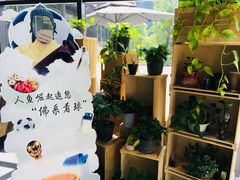 -人鱼崛起低卡健康餐(大华店)