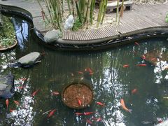 -新竹里馆·花园餐厅(兴苑路店)