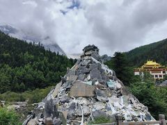 -稻城亚丁景区-冲古草甸