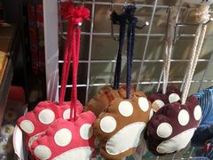 -猫咪博物馆(顶澳仔猫街店)