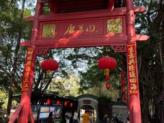 -侨美·唐荔园·40年地道粤菜