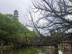 -江心屿景区